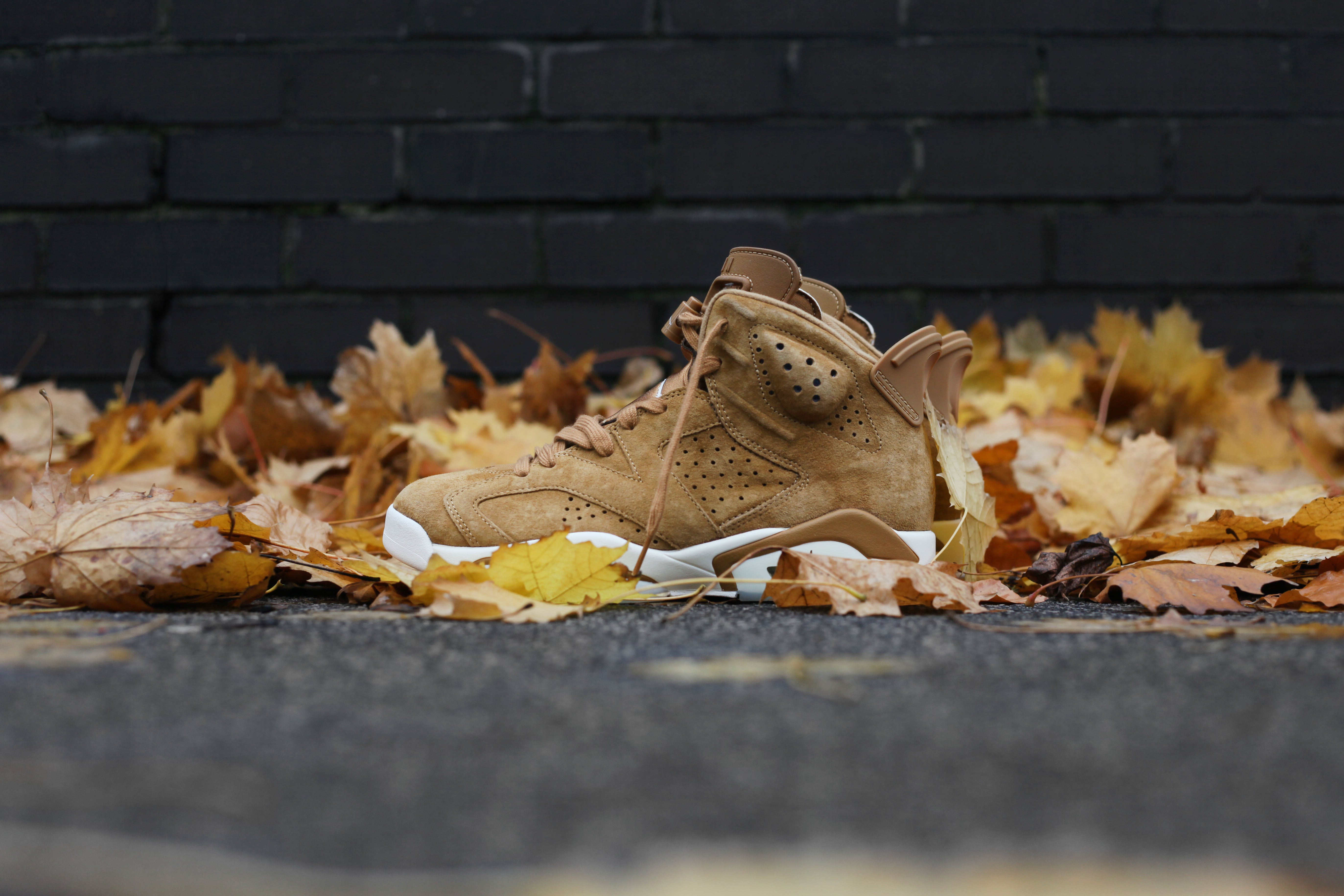 Jordan 6 Wheat Golden Harvest