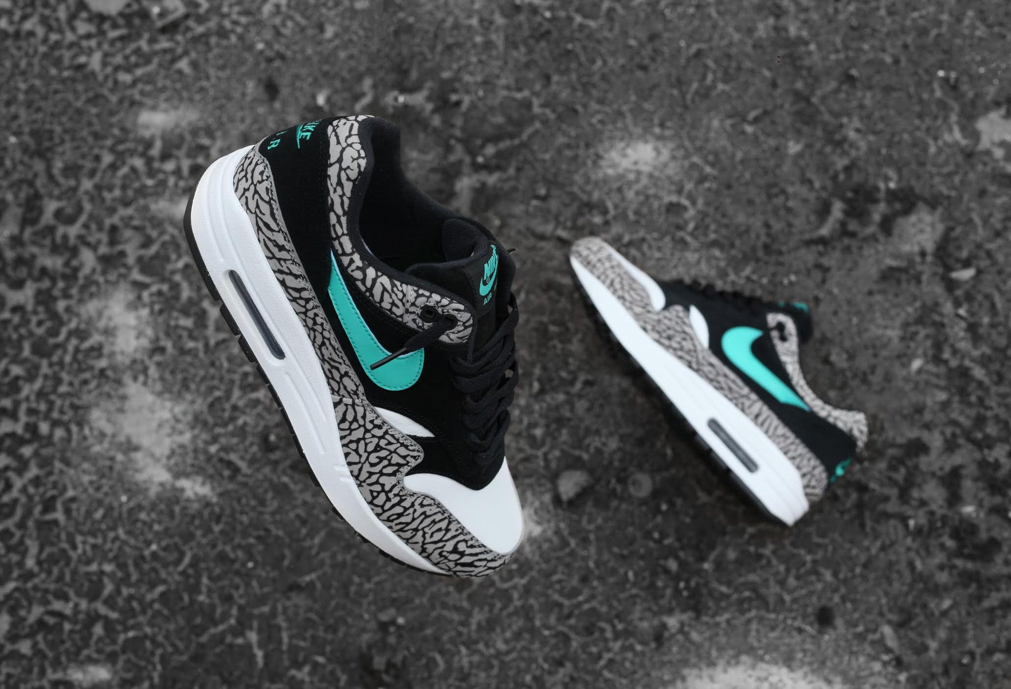 Nike Air Max 1 'Atmos' Elephant 2017