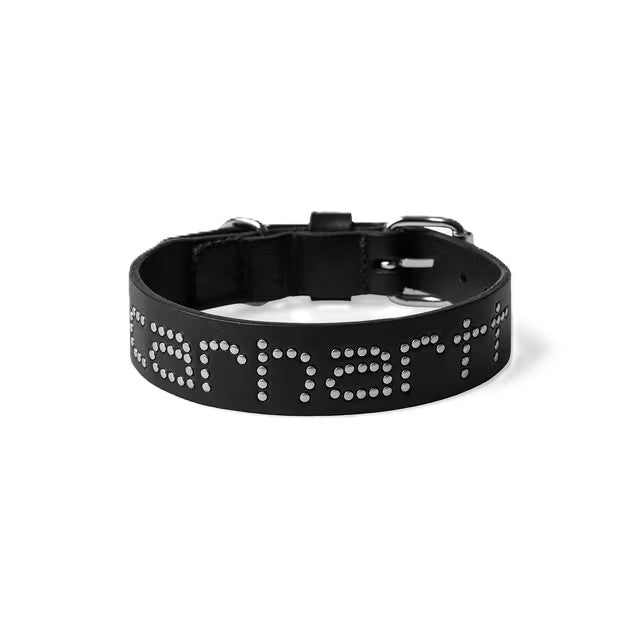 Carhartt WIP Script Studs Dog Collar S/M