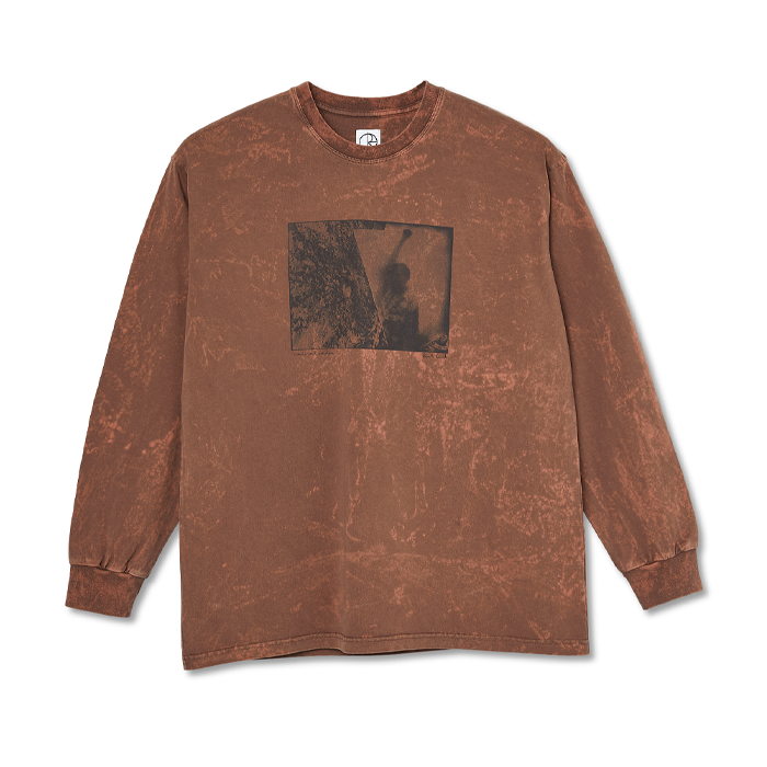 Polar Leaves And Window Longsleeve Tee Rust