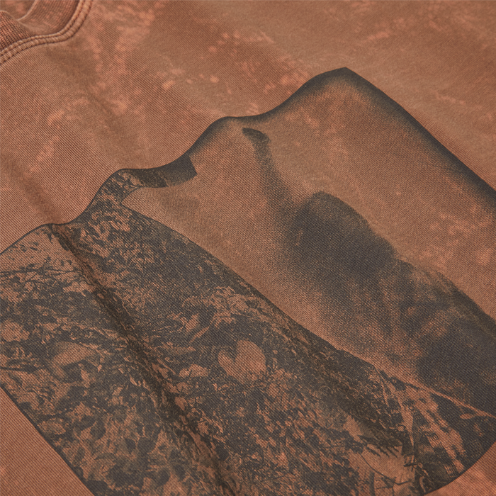 Polar Leaves And Window Longsleeve Tee Rust
