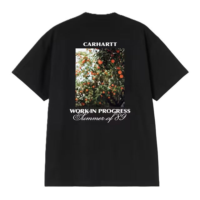 Carhartt WIP Warm Views T-Shirt
