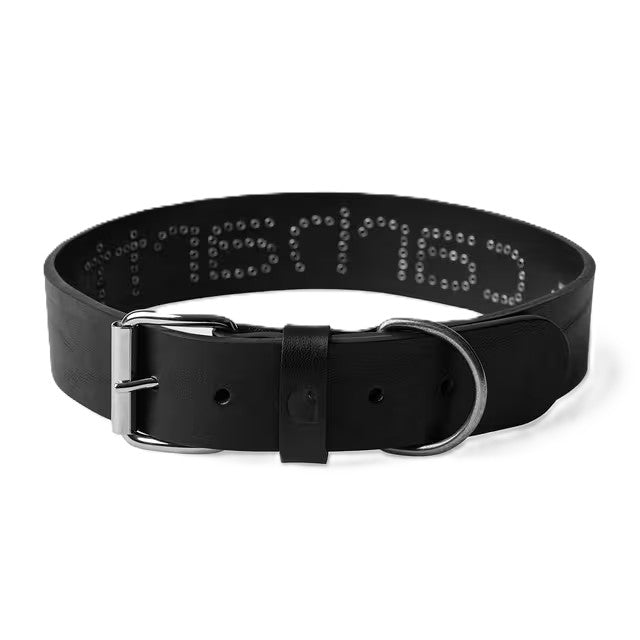 Carhartt WIP Script Studs Dog Collar M/L