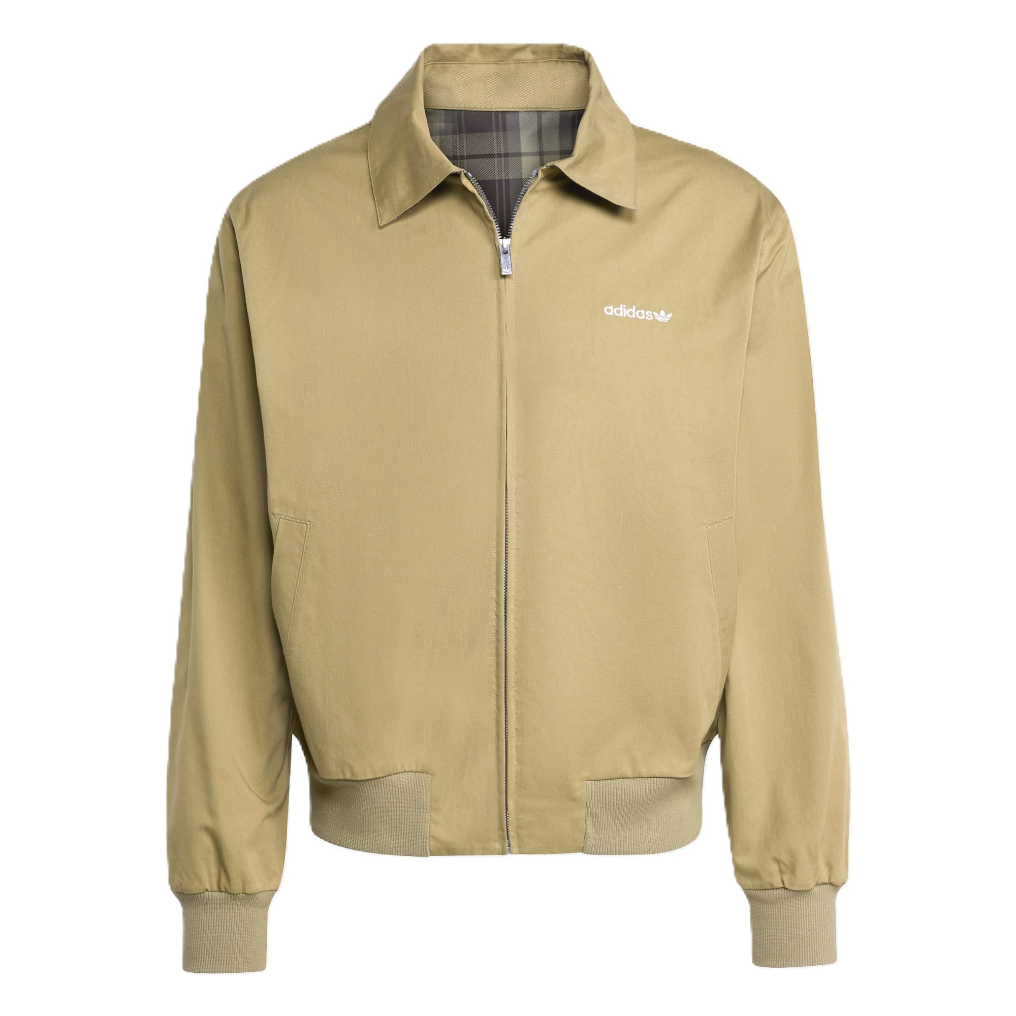 Adidas Graphic Reg Jkt Orbgrn