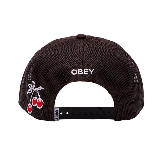 Obey Heavywork Trucker Cap Brown