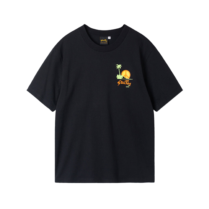Stan Ray Evolution Tee Black