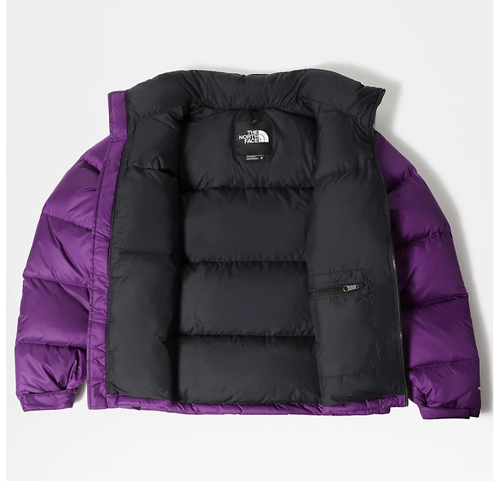 North face 2025 vest purple
